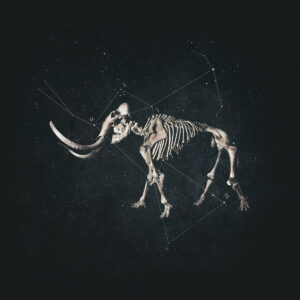 Animic - Hannibal LP